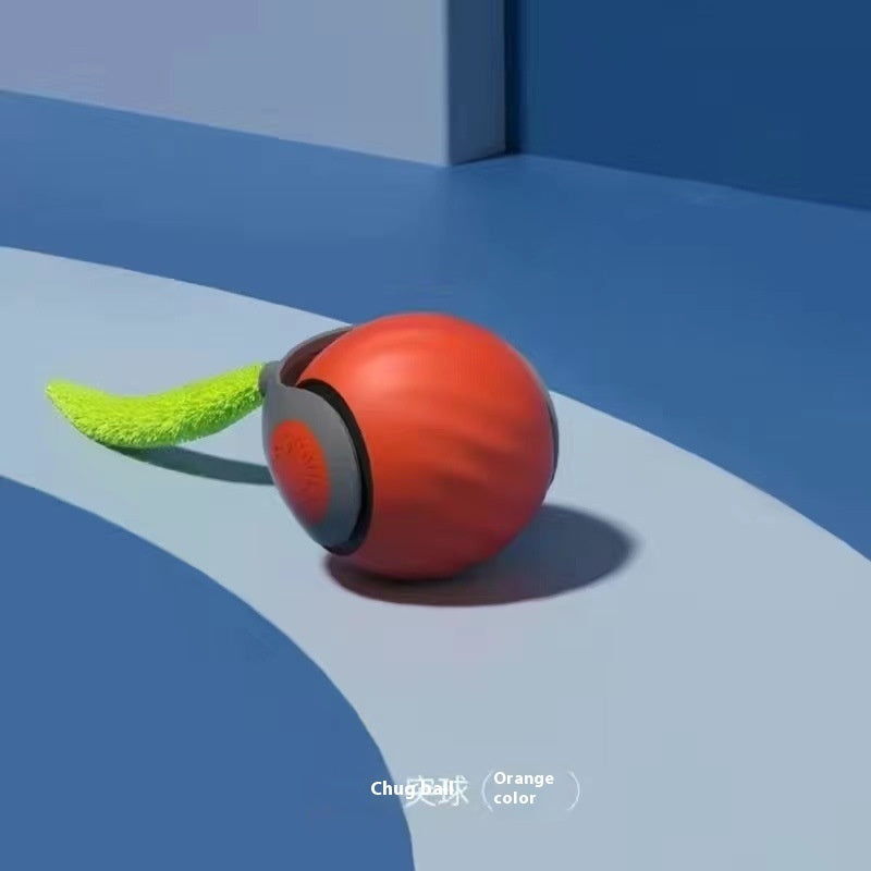 Smart Pet Cat Ball